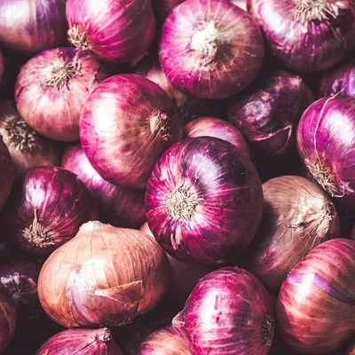 Fresh Red Onions