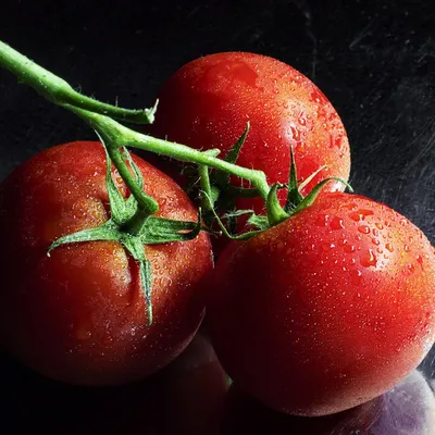 Fresh Hybrid Tomatoes